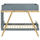 Frankie Bunk Bed - Furniture Now (CA)