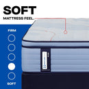 Sealy Patterson II Spring Mattress