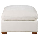 Lakeview Ottoman - Furniture Now (CA)