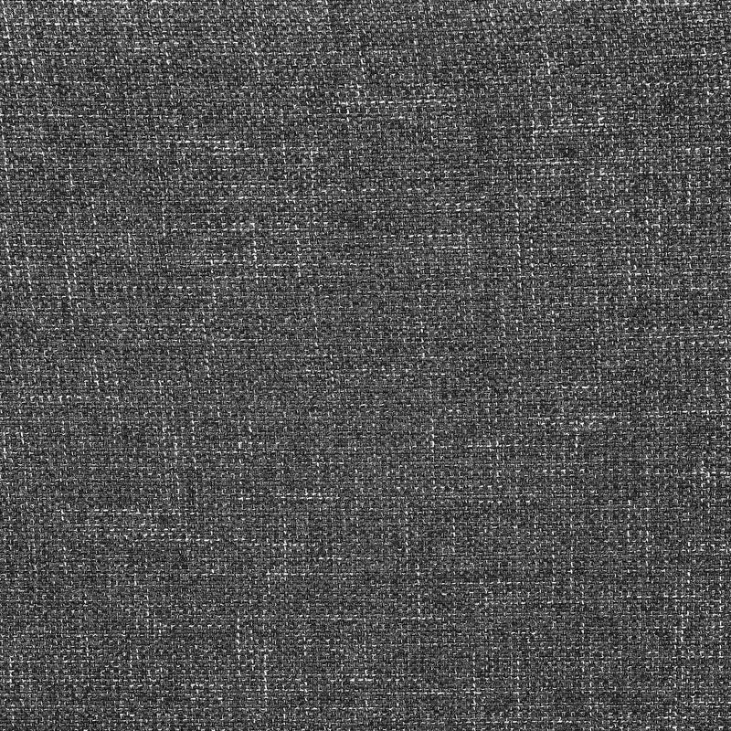 Sasha Accent Chair - Furniture Now (CA)