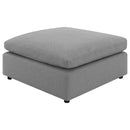 Raleigh Ottoman - Furniture Now (CA)