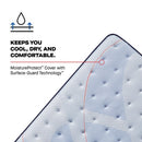Plainfield Spring Mattress