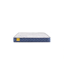 Sealy Erie Foam Mattress