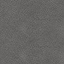 Brixworth Recliner - Furniture Now (CA)