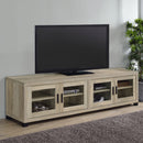 Sachin Rectangular TV Console with Glass Doors - Furniture Now (CA)