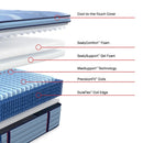 Sealy Dupont II Spring Mattress