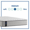 Diggens Innerspring Mattress
