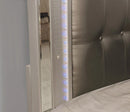 Brachium Bed