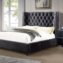 Cayla Bed