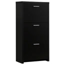 Vivian 3-drawer Shoe Cabinet Black - Furniture Now (CA)