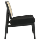 Rayo Accent Chairs - Furniture Now (CA)