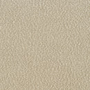 Rayo Accent Chairs - Furniture Now (CA)