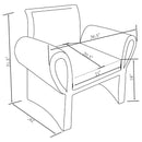 Liana Accent Chair - Furniture Now (CA)