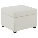 Winter Ottomans - Furniture Now (CA)