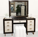 AICO Furniture Belmont Place Vanity (Complete) in Espresso image