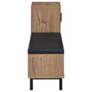 Teller 1-door Entryway Shoe Storage Cabinet Natural Oak - Furniture Now (CA)