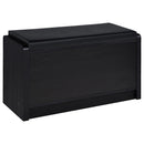 Arrington Shoe Cabinet - Furniture Now (CA)