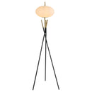 Layton Floor Lamps - Furniture Now (CA)