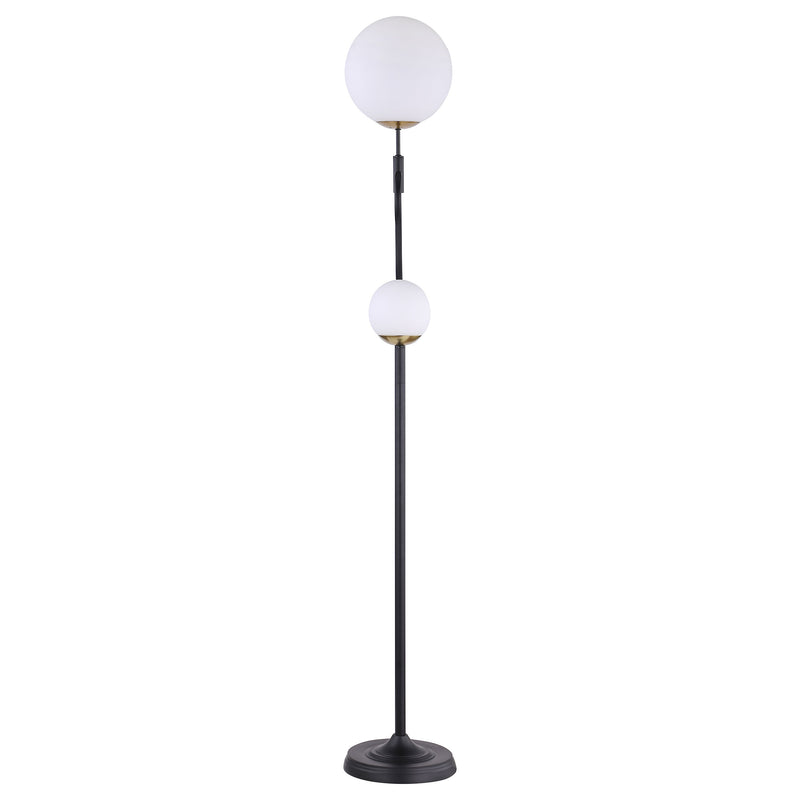 Dacki Floor Lamp - Furniture Now (CA)
