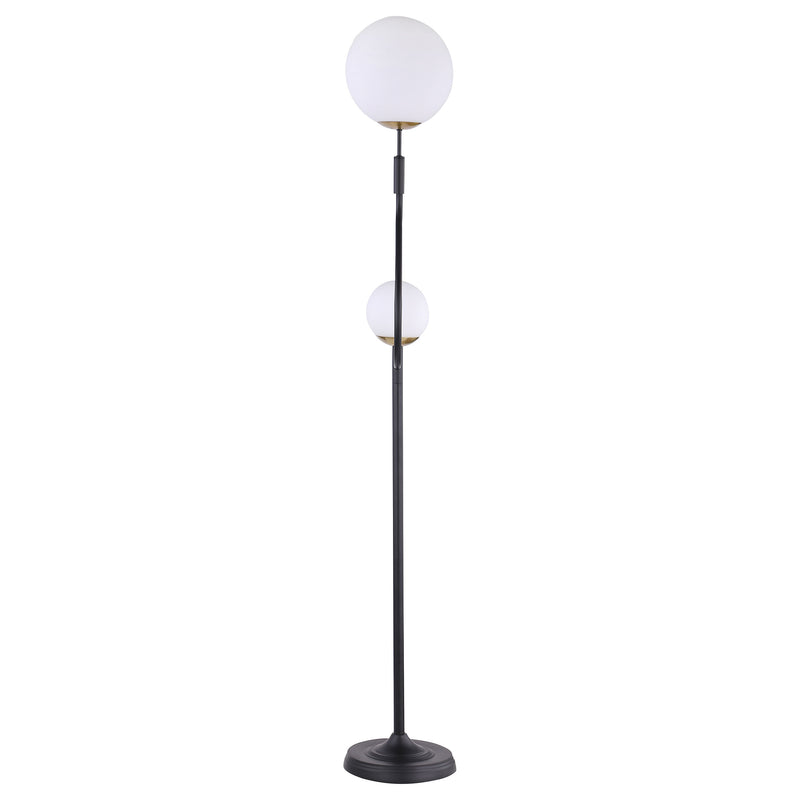 Dacki Floor Lamp - Furniture Now (CA)