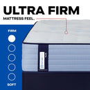 Sealy Paterson II Spring Mattress