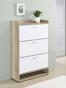 Denia Shoe Cabinet - Furniture Now (CA)