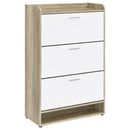 Denia Shoe Cabinet - Furniture Now (CA)