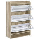 Denia Shoe Cabinet - Furniture Now (CA)