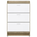 Denia Shoe Cabinet - Furniture Now (CA)