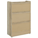 Denia Shoe Cabinet - Furniture Now (CA)