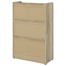 Denia Shoe Cabinet - Furniture Now (CA)