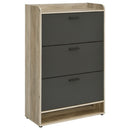 Denia Shoe Cabinet - Furniture Now (CA)