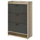 Denia Shoe Cabinet - Furniture Now (CA)