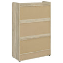 Denia Shoe Cabinet - Furniture Now (CA)