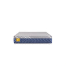 Sealy Featherton Hybrid Mattress