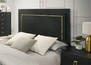 Latimer E.King, Full, & Queen Bed
