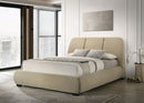 Mokena Panel Platform Bed