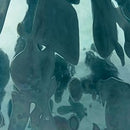 Cartshaw Vase - Furniture Now (CA)