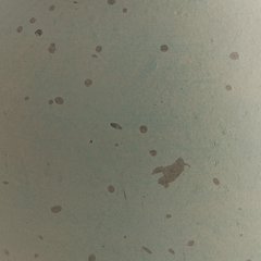 Baychester Vase - Furniture Now (CA)