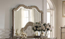 Acme Chelmsford Landscape Mirror in Antique Taupe 26054 - Furniture Now (CA)