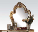 Acme Dresden Mirror 23164 - Furniture Now (CA)