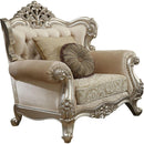 Acme Furniture Bently Chair with 2 Pillows in Champagne 50662 - Furniture Now (CA)