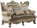 Acme Furniture Ranita Loveseat in Champagne 51041 - Furniture Now (CA)