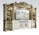 Acme Vendome Entertainment Center in Gold Patina 91310 - Furniture Now (CA)