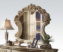 Acme Vendome Mirror in Gold Patina 23004 - Furniture Now (CA)