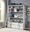 Cargo White Bookshelf & Ladder - Furniture Now (CA)