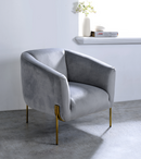 Carlson Gray Velvet & Gold Accent Chair - Furniture Now (CA)