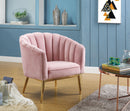 Colla Blush Pink Velvet & Gold Accent Chair - Furniture Now (CA)
