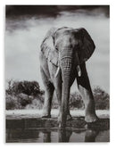 Glinyard Wall Art - Furniture Now (CA)