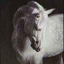 Archerwick Wall Art - Furniture Now (CA)